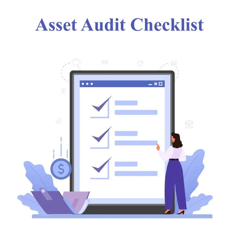 Asset Audit Checklist