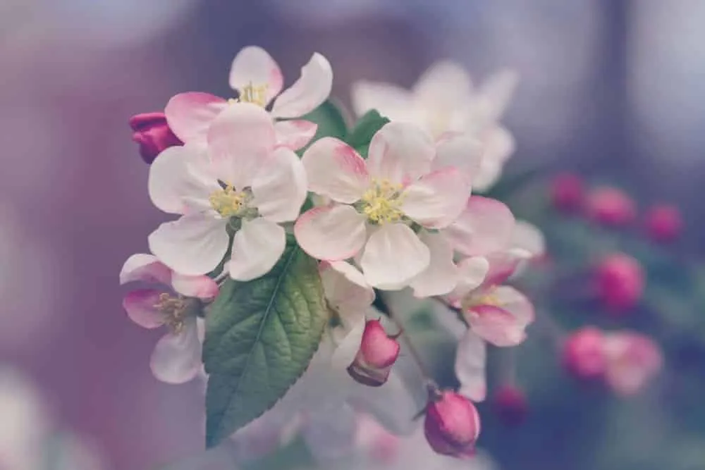 Spring Cleaning Top Tips and asset inventory management