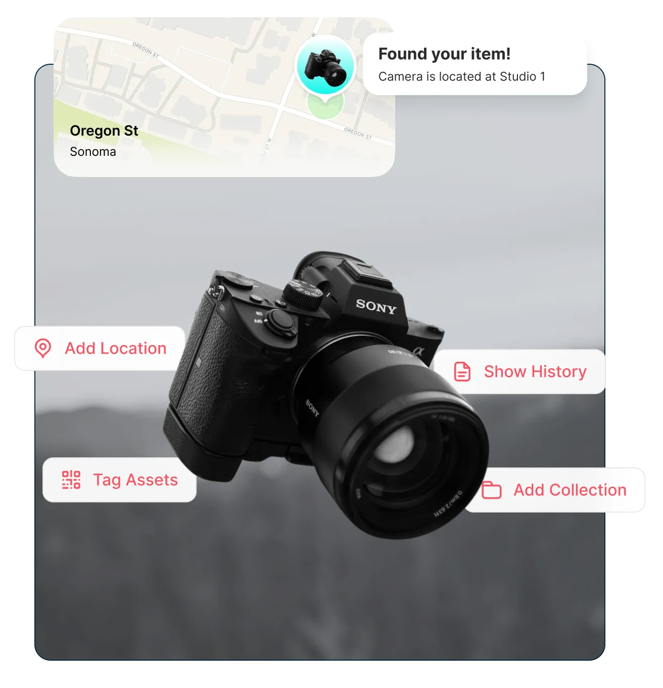 Complete Visibility Across Every Shoot