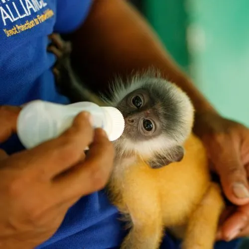 How a Conservation NGO Can Use itemit