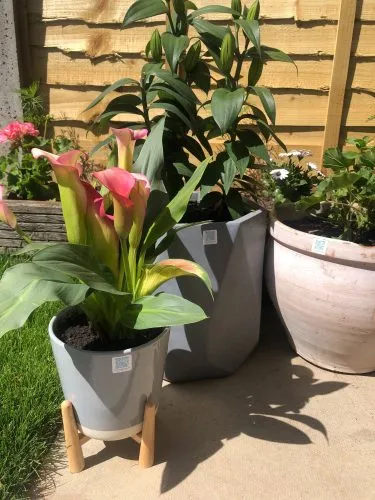Equipment management software and gardening