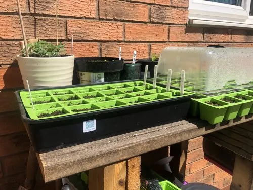 How to track your tools and plants