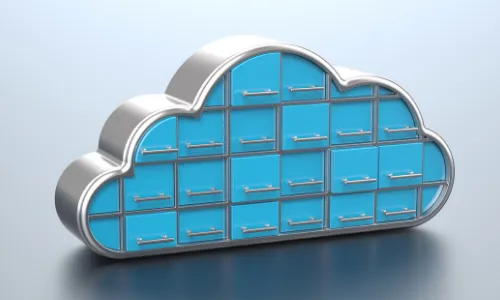 Budget Asset Management Software
