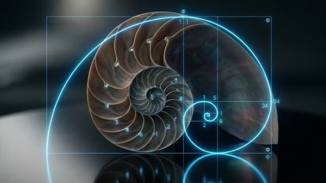 patterns in nature examples