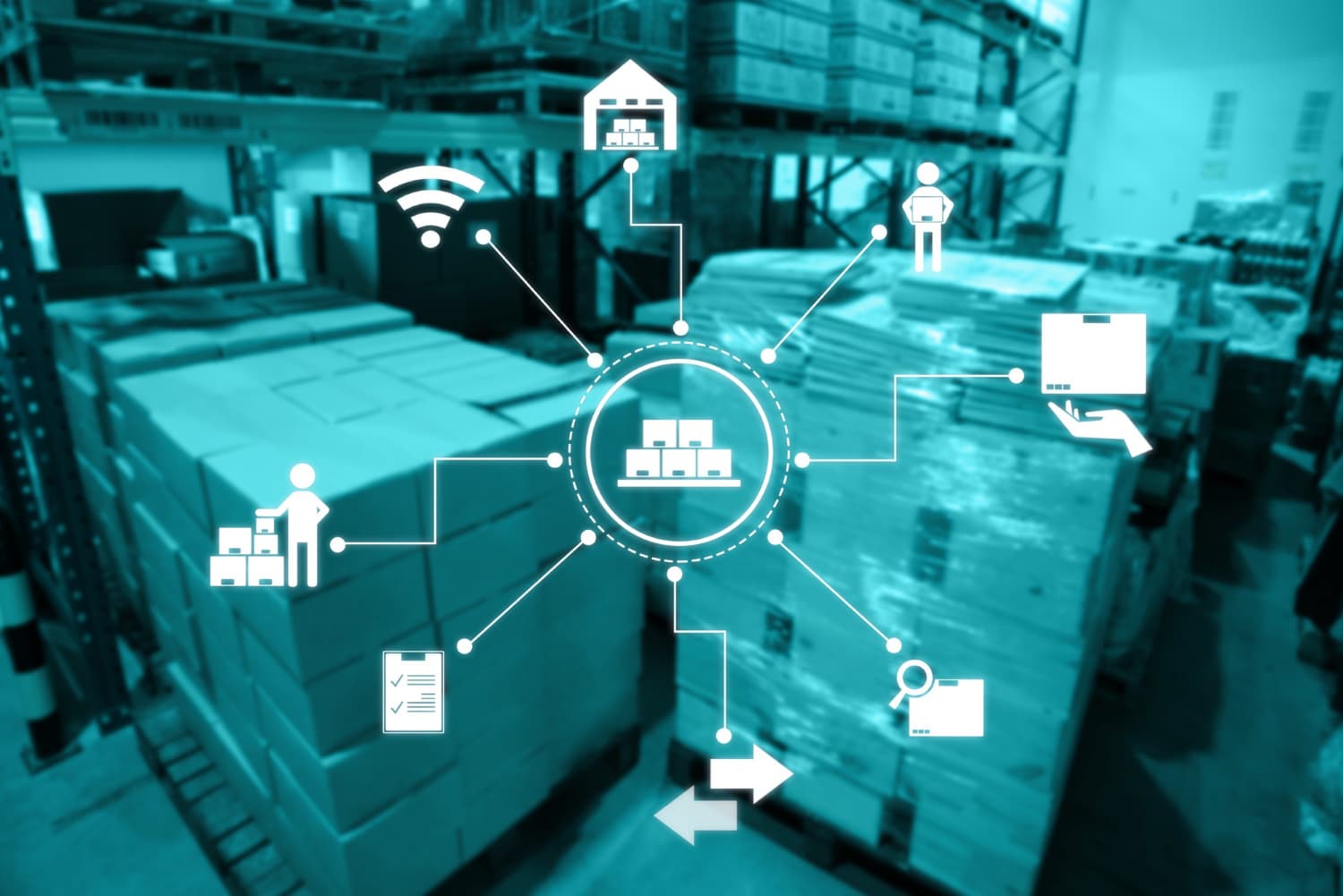 Network inventory management software