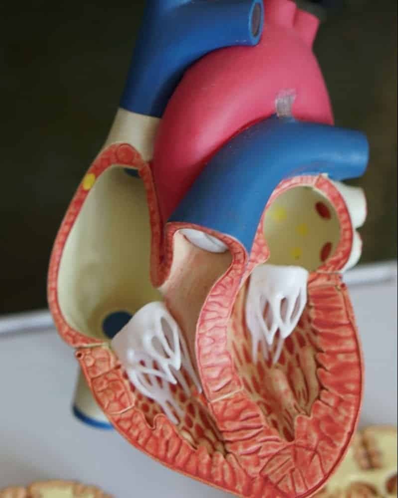 Sanguine Medical Case Study