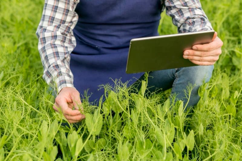 Best management practices in agriculture field