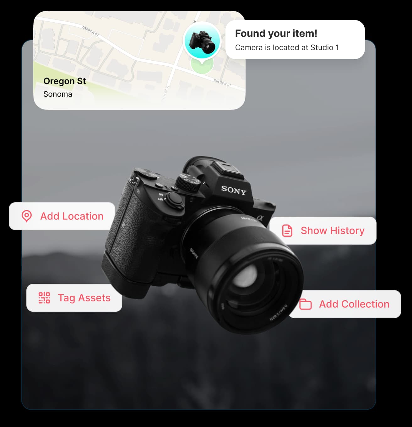 Complete Visibility Across Every Shoot