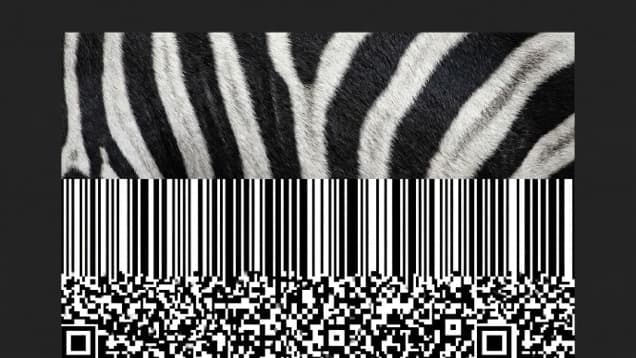 types of patterns in nature