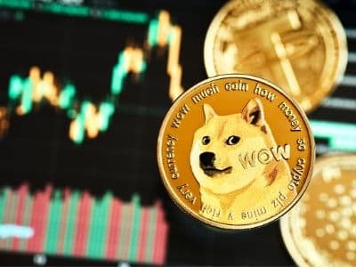 Dogecoin Asset Tracking on Mars