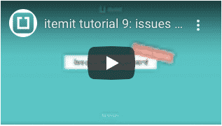 managing issues with IT asset management software