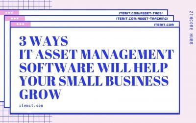 3 Ways IT Asset Management Software will Help your Business Grow