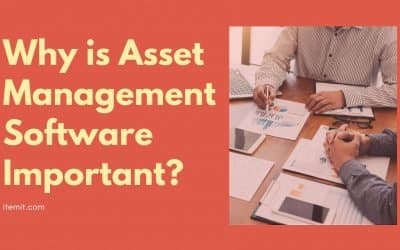 Why is Asset Management Software Important?