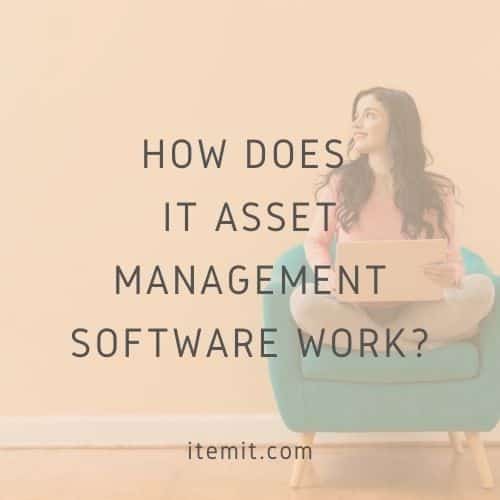 How Does IT Asset Management Software Work?