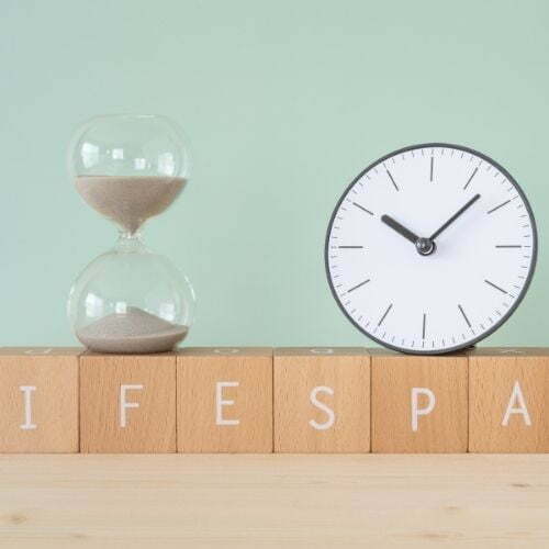 How to Optimise Asset Lifespan Using Asset Tracking Software