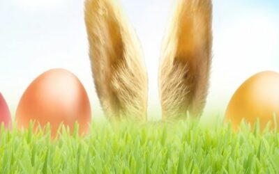 The Easter Bunny’s Top Tips On Using Asset Tracking, For Your Egg Hunt!