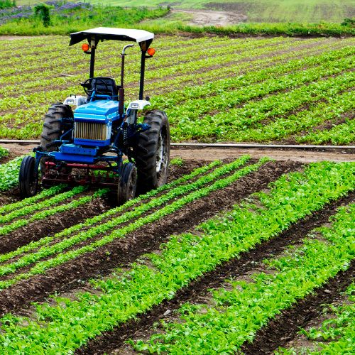 Featured – Track Your Agricultural Assets With RFID Tags Track Your Agricultural Assets With RFID Tags