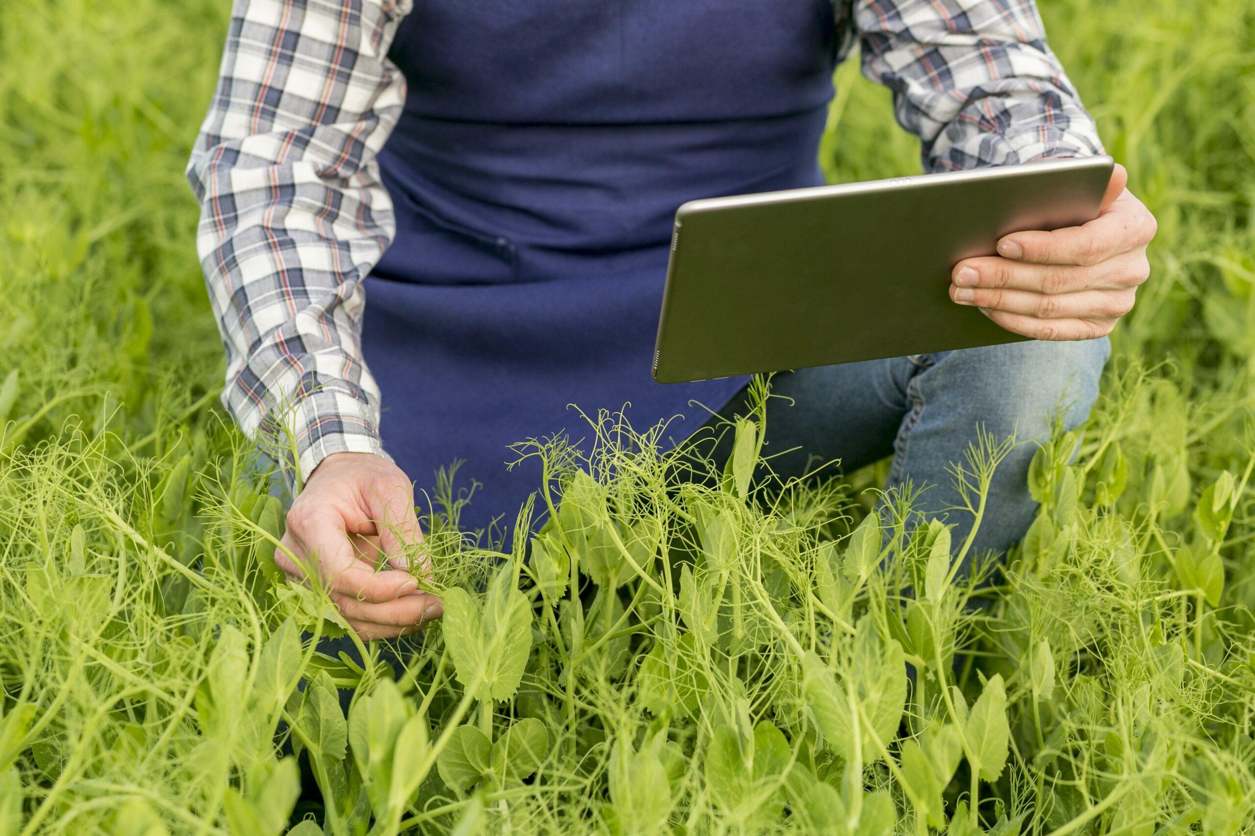 Best management practices in agriculture field