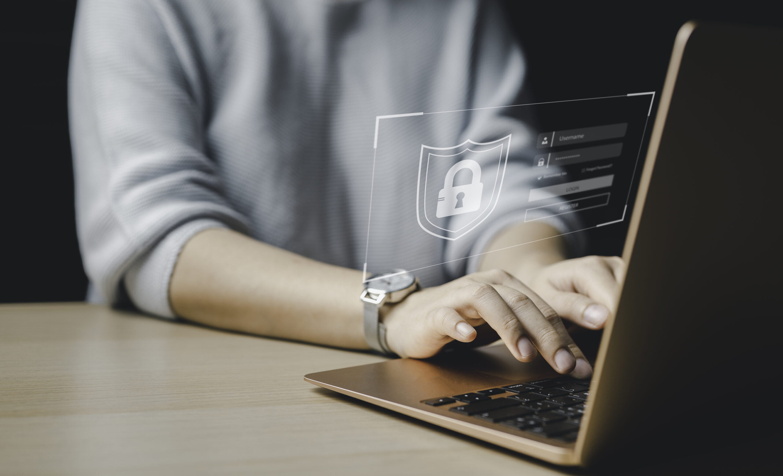 Define Different Types of IT Assets