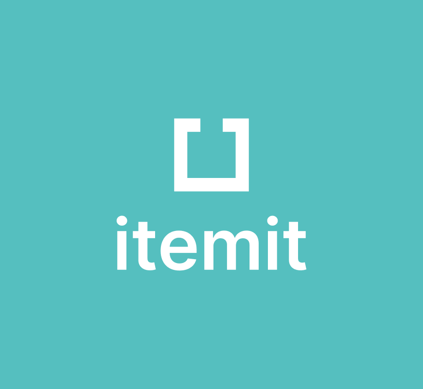 itemit Secondary Logo in Coloured Background